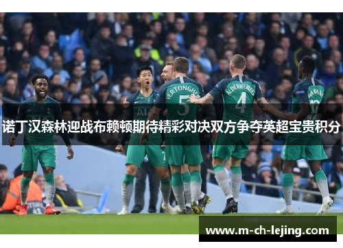 诺丁汉森林迎战布赖顿期待精彩对决双方争夺英超宝贵积分